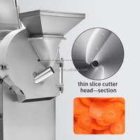DQC101 Multifunctionele Automatische Groente- en Fruit Snijder met Motor, geschikt voor Snijden, Shredden, Dices en Stroeven voor Commerciële Voedselverwerking