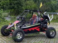 SWICOO Go-kart monoplace 300cc 4 temps refroidi par huile, buggy tout-terrain, voiture de course pour adultes, vente chaude