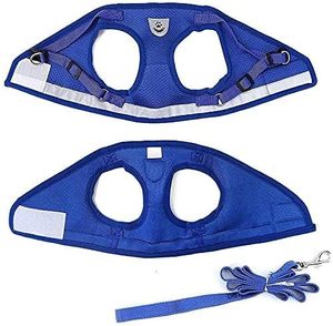 Harnais de type gilet pour animaux de compagnie en maille respirante pour chiens et chats, laisse de traction pour animaux, collier pour chat, harnais de poitrine et de dos pour animaux - Product Image 5