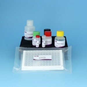Pseudorabies Virus (PRV) gE Blocking ELISA <strong>Kit</strong> - DIVA-Compatible for Swine Antibody Detection - Product Image 5