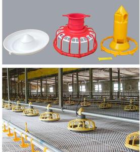 Casa de aves de corral de icono similar para 10000 pollos/pollos de engorde bebedero de pezón de aves de corral y bandeja de alimentación - Product Image 4