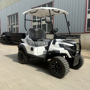 Cổ điển hai chỗ ngồi Xe golf điện với đường phố hợp pháp xe ô tô cổ điển Pin Lithium USA bán giỏ lưu trữ Câu Lạc Bộ Xe <span class=keywords><strong>Buggy</strong></span> - Product Image 2