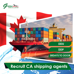 Servicio Puerta a Puerta en Canadá, Agente de Carga Marítima DHL, UPS, FedEx, LCL, FCL, DDP, DDU, FBA, Despacho de Aduanas, Importación, Exportación, Consolidación de Carga - Product Image 6