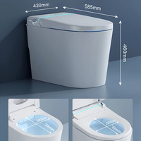 Meilleures ventes : WC intelligent automatique de qualité supérieure avec siphon en P, télécommande, séchage à l'air, à poser au sol, personnalisable, pour hôtels