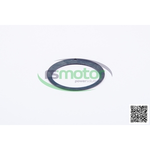 Disque d'entraînement de moteur RS-372138 Jenbacher - Product Image 6