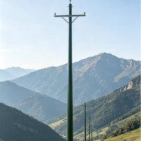 Poteau utilitaire ignifuge en PRV, poteau électrique composite en PRV pour environnements à haute température et arides