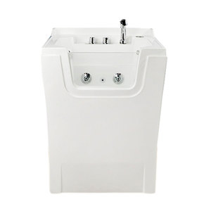 Baignoire pour animaux de compagnie en acrylique avec ozone pour toilettage vétérinaire, baignoire pour chiens et chats, <span class=keywords><strong>prix</strong></span> - Product Image 2