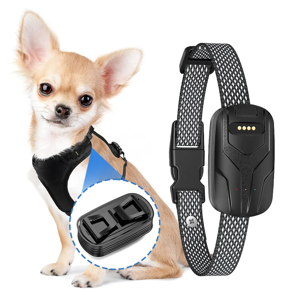 Haute précision Smart 4G réseau GPS WIFI APP et Web emplacement en temps réel en plein air chasse chien Pet Tracker collier suivi pour animal de compagnie