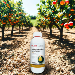 ธาตุ<span class=keywords><strong>แคลเซียม</strong></span>แมกนีเซียม<span class=keywords><strong>โบรอน</strong></span>เหล็กสังกะสีปุ๋ยที่ละลายน้ำได้สำหรับการทำลายและต้นกล้าที่แข็งแรง - Product Image 5