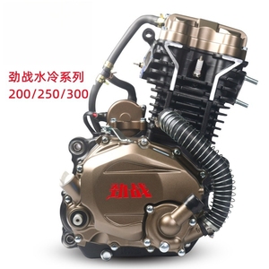 Moteur Zongshen Conqueror 250, moteur de moto refroidi par liquide, moteur de tricycle - Product Image 5
