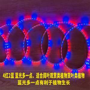 Red and Blue <strong>LED</strong> Plant Growth Light Ring for Broadleaf Ornamental Plants <strong>Indoor</strong> <strong>Cultivation</strong> - Product Image 4