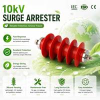 Parafoudre à oxyde métallique OEM 10kV HY5WS-17/50 pour la protection électrique des armoires de commutation intérieures