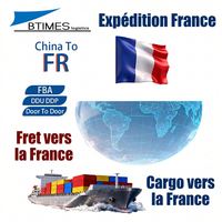 Agent de livraison express international France, entrepôt DDP, service de dédouanement et d'entreposage, exécution des commandes, fret