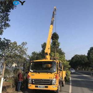 Grúa telescópica hidráulica eléctrica de 3 toneladas, grúa montada en camión, venta China - Product Image 4