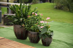 Pot de fleurs en céramique émaillée moderne de qualité supérieure avec trous de drainage - Jardinière écologique respirante à haute porosité pour une utilisation en intérieur/extérieur - Product Image 5