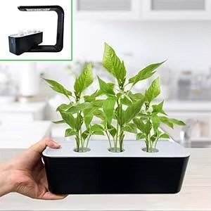 Système de Culture Hydroponique <span class=keywords><strong>Intérieur</strong></span> Intelligent IP65 avec Lumière <span class=keywords><strong>LED</strong></span> | Jardinière Auto-Arrosante pour Herbes Aromatiques, Légumes et Fleurs - Product Image 6