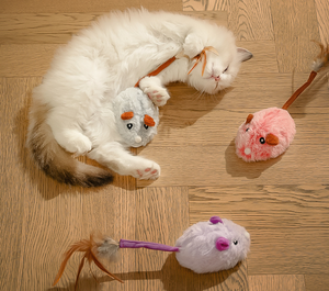 Divertido y Popular Juguete <span class=keywords><strong>de</strong></span> Peluche con Hierba Gatera para <span class=keywords><strong>Gatos</strong></span> y Gatitos, Origen Zhejiang - Product Image 3