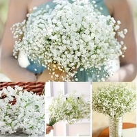 Bouquet de fleurs artificielles de gypsophile de qualité supérieure au toucher réel, bouquet de gypsophile blanc de qualité supérieure avec tiges