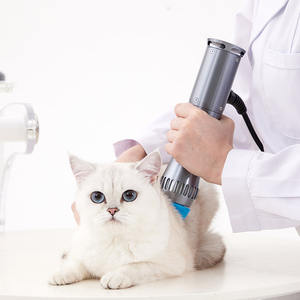 Profession elle Stoßwellen therapie gerät 60mj-210mj für Hunde Katzen Pferde Schmerz linderung - Product Image 3