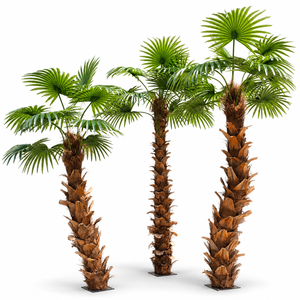 Palmier artificiel géant ignifuge B1 de 10 m, faux palmier Washingtonia K/D, grande plante artificielle pour la décoration de projets de centres commerciaux - Product Image 2