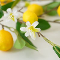 Branche de fruits au citron simulée Style européen petit arrangement de fleurs fraîches pour la décoration d'hôtel à la maison accessoires de photographie