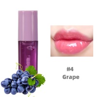 Lipgloss met aangepaste logo, fruitgeur, hydraterend, glanzend, lipbalsem, natuurlijke biologische transparante fruitlipolie