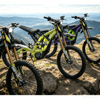 Moto électrique tout-terrain Light Bee X, moto électrique haute vitesse Surron Light Bee, vélo électrique tout-terrain Surron Light Bee, vélo électrique cross-country Surron Light Bee