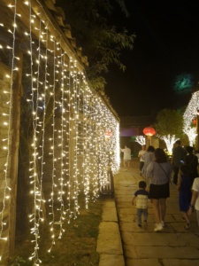 Luci a tenda LED in PVC impermeabili IP65 personalizzabili, dimmerabili, ad alto CRI 95, facili da installare per matrimoni e <span class=keywords><strong>Natale</strong></span> all'aperto - Product Image 4