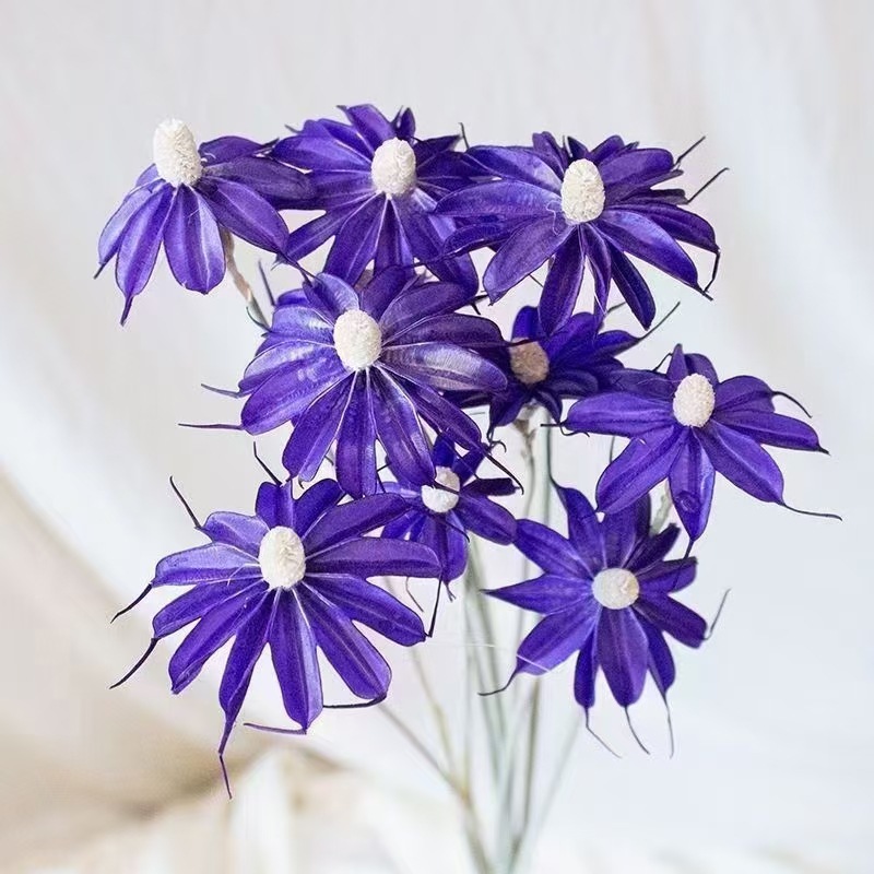Color6