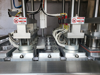 Machine de scellage entièrement automatique, pour yaourt, Ketchup, confiture, jus de fruits, lait, petits carrés en plastique, pour remplissage