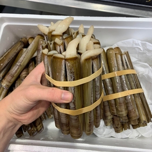 Tươi dao cạo nghêu kích thước lớn nước biển thu hoạch ngọt ngào dịu dàng động vật có vỏ thịt cao cấp ven biển bắt Chất lượng cao hải sản sự lựa chọn - Product Image 6