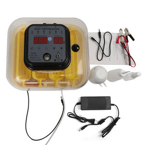 Incubateur de haute qualité Machine <span class=keywords><strong>à</strong></span> couver les œufs Capacité intelligente automatique 16 œufs Mini incubateur <span class=keywords><strong>à</strong></span> <span class=keywords><strong>vendre</strong></span> - Product Image 3