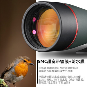 Panda Lunar 20-60x80 Ed Glass Spotting Scope For Birdwatching And Nature Observation - Product Image 5