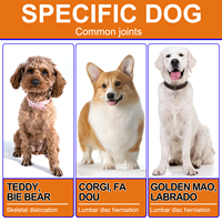 Friandises pour chiens à la glucosamine et à la chondroïtine pour soulager les douleurs articulaires, complément alimentaire pour la santé des articulations, friandises à mâcher au chanvre pour les hanches et les articulations des chiens avec de la glucosamine
