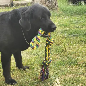 プロのペットトレーニングおもちゃ耐久性のある犬の綱引きおもちゃ環境にやさしいコットンロープノット犬の歯が生える噛むおもちゃ