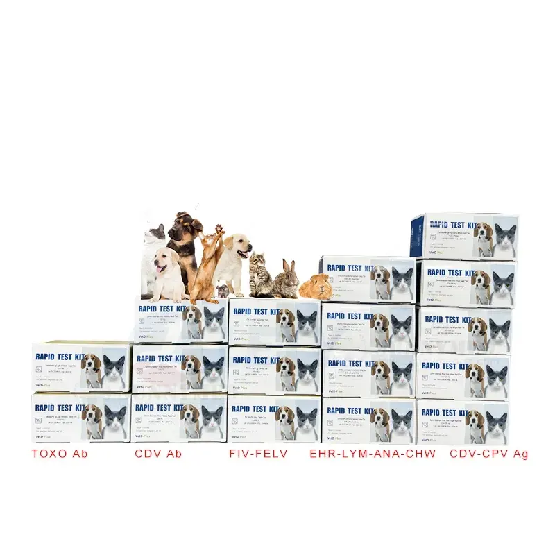 Harga pabrik grosir kotak Kit uji cepat Diagnosis dokter hewan untuk klinik hewan peliharaan TOXO Ab CDV CPF FIV-FELV EHR-LYM-ANA-CHW