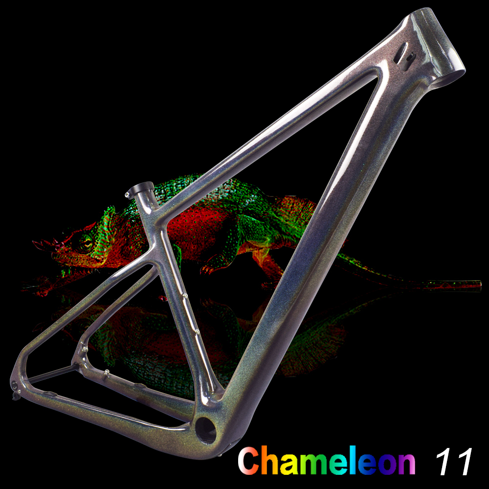Chameleon2