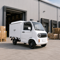 Mini-camion électrique personnalisé, véhicule utilitaire léger à énergie nouvelle, véhicule commercial électrique, voiture électrique