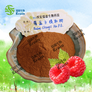 보디 빌딩 피트니스 보충 라즈베리 과일 추출물 - Product Image 2