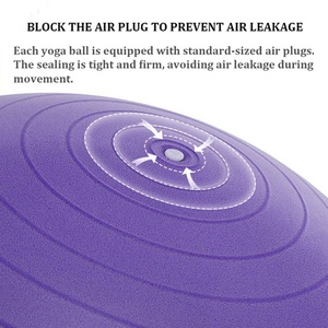 Thân Thiện Với Môi PVC Chống-Burst Mang Thai Birthing Massage Bóng Phòng Tập Thể Dục Tập Thể Dục Bài Tập Yoga Tập Thể Dục Bóng Với Biểu Tượng Tùy Chỉnh - Product Image 4