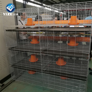Macchina automatica per la raccolta delle uova/gabbia a strati di pulcino (fabbrica di Guangzhou) - Product Image 5