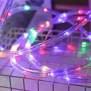 发光二极管串绳灯花园圣诞树户外防水发光二极管管铜线灯