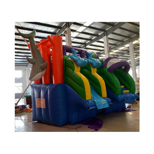 Trượt nước tùy chỉnh bơm hơi 28 năm sản xuất và vận hành nhà máy bán hàng trực tiếp, nhượng Bộ giá - Product Image 3