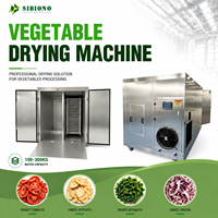 Séchoir industriel à pompe à chaleur 100-300 kg pour légumes, en acier inoxydable SUS304, déshydrateur automatique pour tomates, ail, citrouilles et aliments