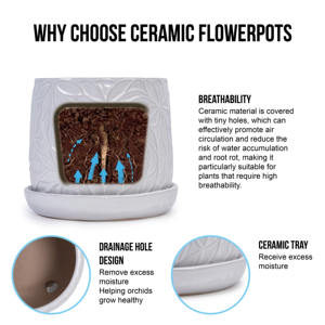 กระถางเซรามิก Mdj ชุด 2 ใบ สีดำเงา ทรงกลม พร้อมจานรอง สำหรับใช้ในบ้าน สวน ทั้งภายในและภายนอกอาคาร - Product Image 4