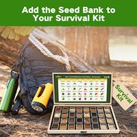 Semences non-OGM de 32 variétés pour la plantation de légumes et d'herbes, kit de semences de survie pour potager surélevé et serre, cadeaux de jardinage