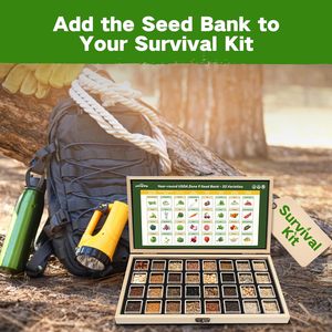 Kit di Semi Non-OGM da 32 Varietà per la Coltivazione di Verdure ed Erbe, Kit di <span class=keywords><strong>Sementi</strong></span> per Sopravvivenza per <span class=keywords><strong>Orto</strong></span> Rialzato e Serra, Regali per Giardinieri - Product Image 2