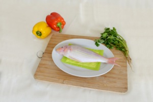 Tampon absorbant pour aliments, tampon pour viande pour supermarché, emballage de poulet et de bœuf surgelés, absorbant l'humidité - Product Image 2