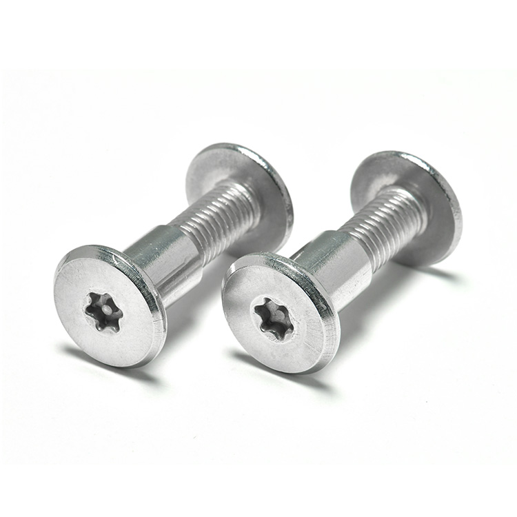M3 M4 M5 M6 M8 M10 M12 Stainless Steel 304 Wood Furniture Metal Sheet Book Leather Rivet Barrel Nut Torx Pin Chicago Scr