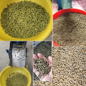 Máquina <span class=keywords><strong>de</strong></span> <span class=keywords><strong>Pellets</strong></span> para Alimento <span class=keywords><strong>de</strong></span> Aves <span class=keywords><strong>de</strong></span> Corral, Capacidad <span class=keywords><strong>de</strong></span> 100kg a 500kg, Molino <span class=keywords><strong>de</strong></span> <span class=keywords><strong>Pellets</strong></span> Eléctrico, Máquina para Elaborar Alimento para Pollos, Patos y Cerdos - Product Image 5